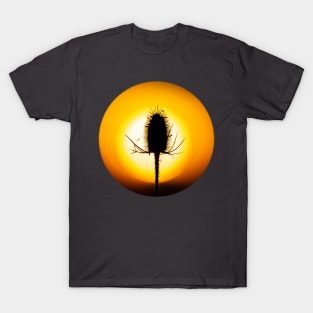 Sun burst teasel T-Shirt